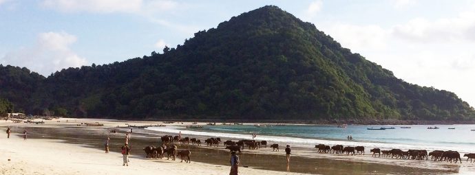 DÉCOUVERTE<br> L’INDONÉSIE, L’ARCHIPEL AUX 1001 FACETTES