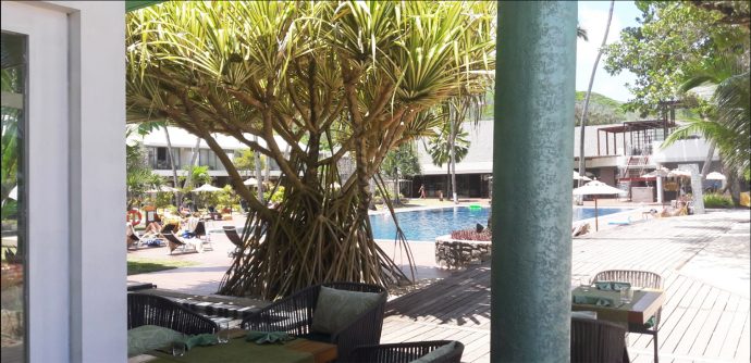 Un joli petit monde – caméléon bien articulé