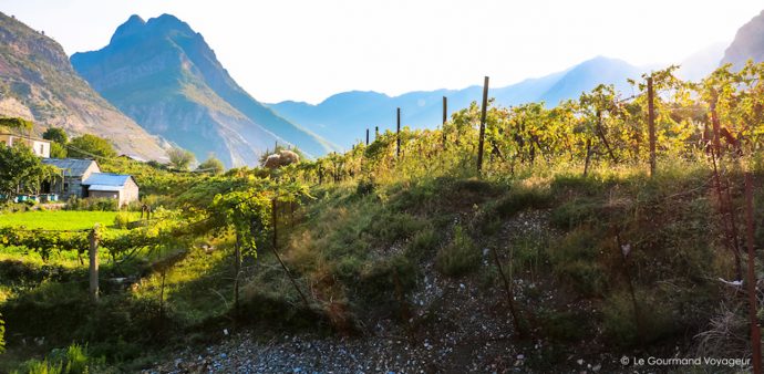 Le Gourmand Voyageur : Chronique d’un road trip en Albanie